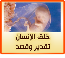 خلق الانسان